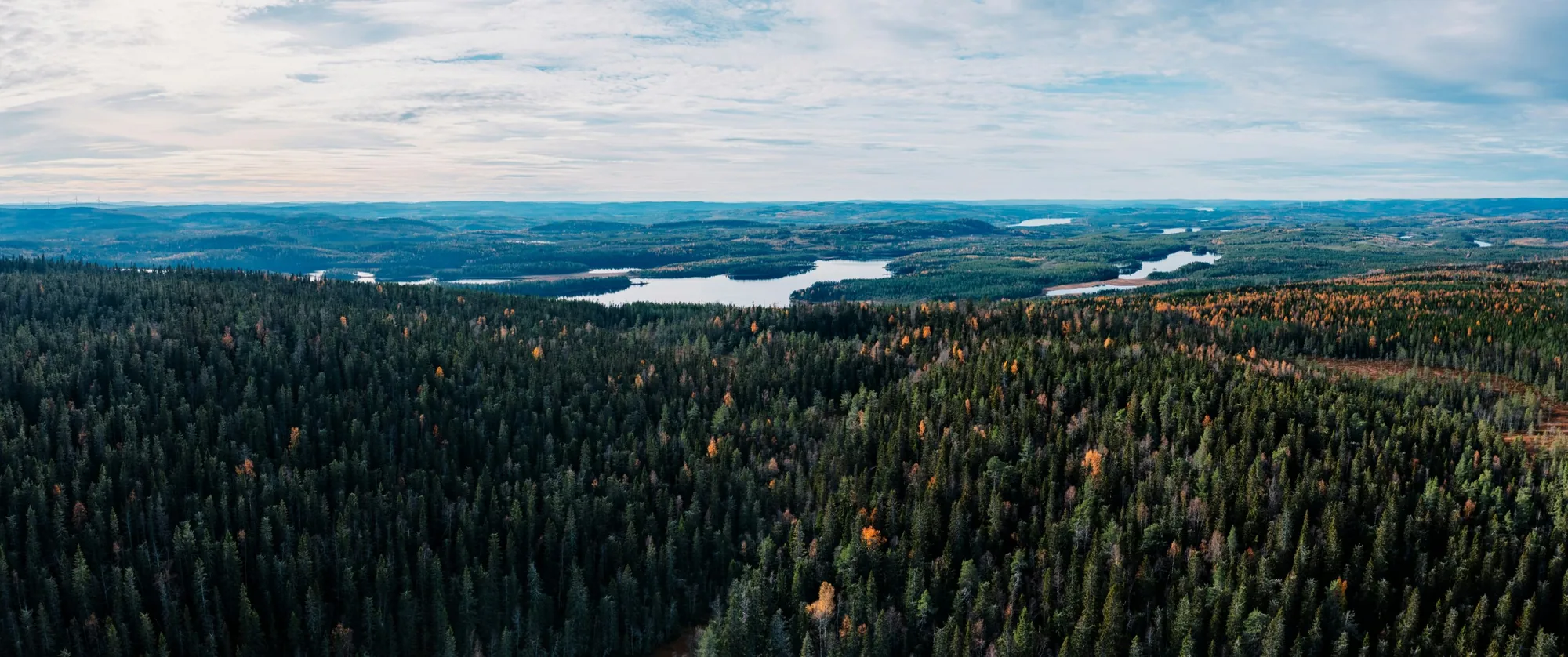 Flygbild över barrskog och sjöar